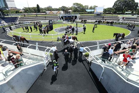 randwick quaddie dividend.